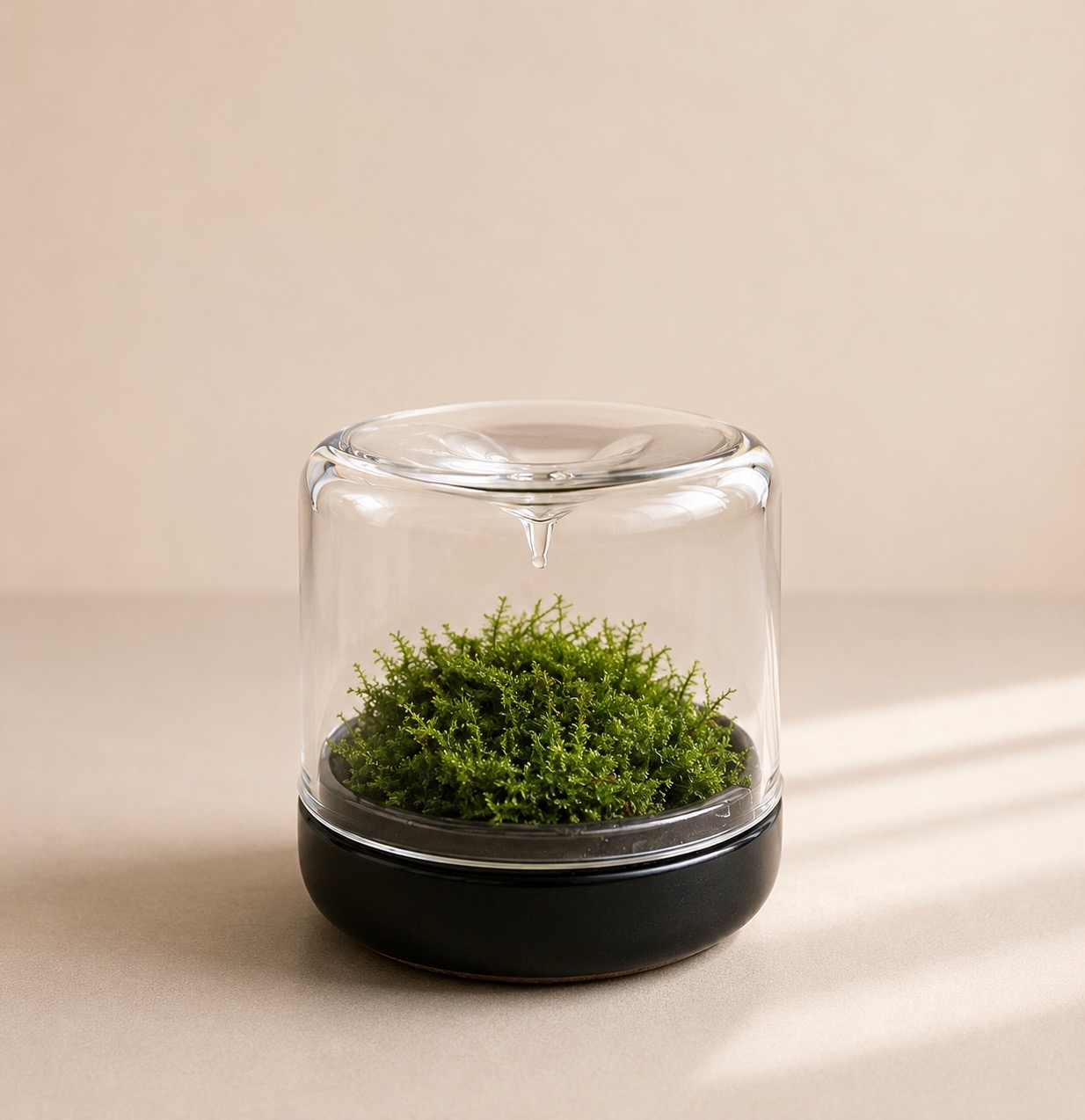 Little Mossarium Marble