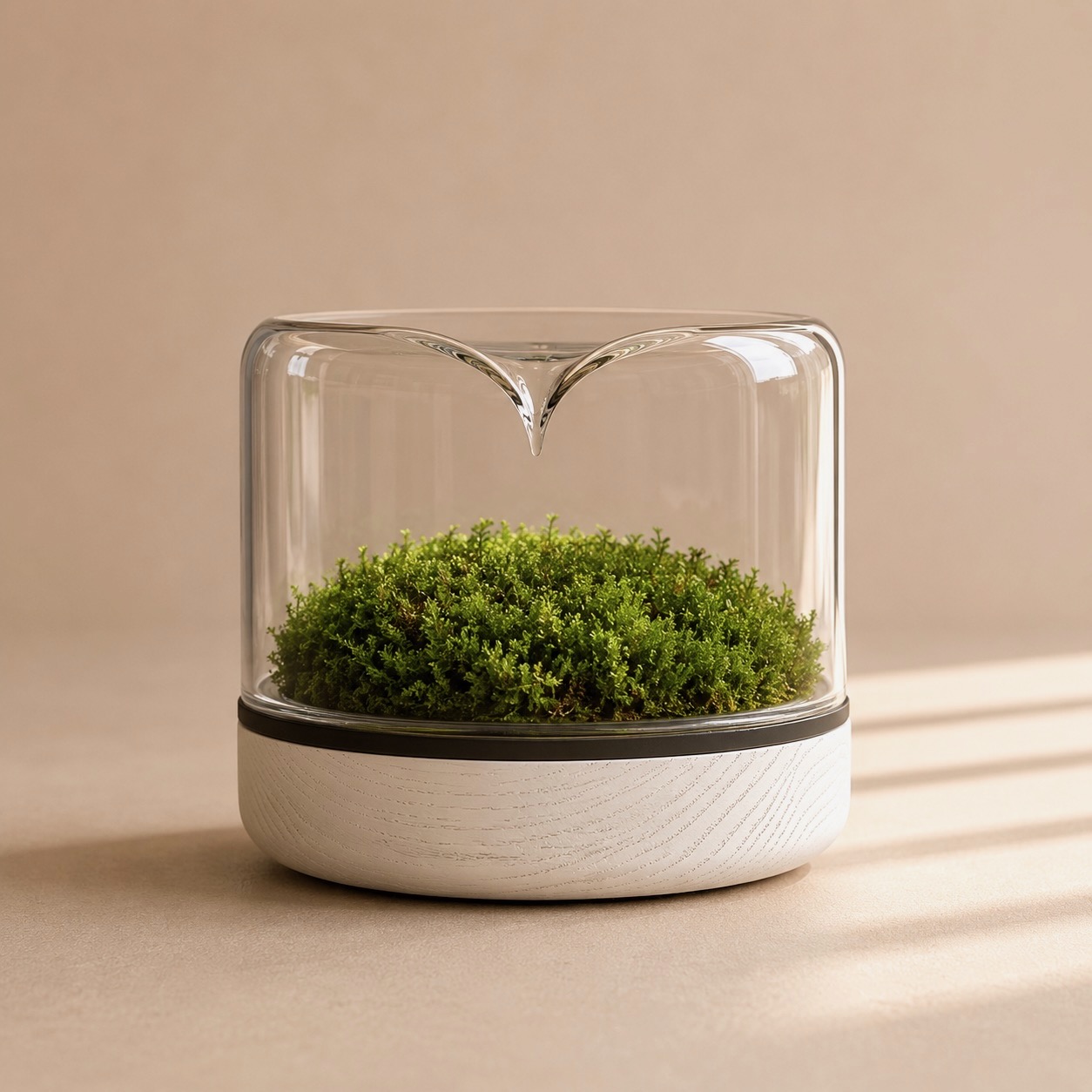 Mossarium White Oak