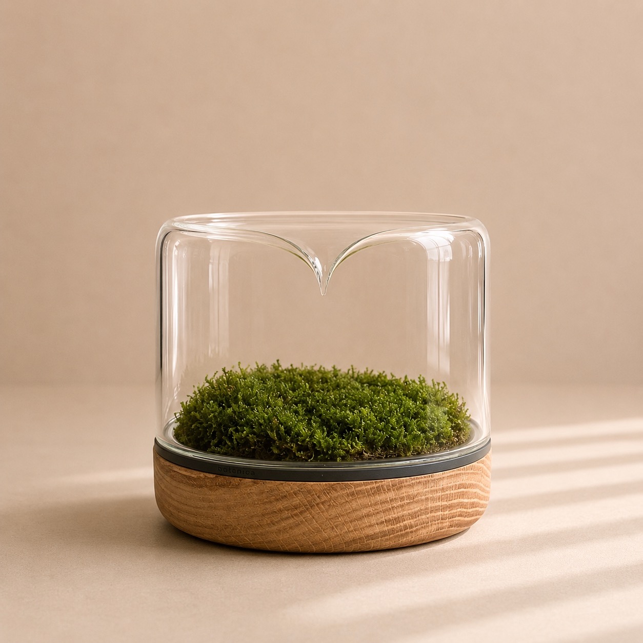 Mossarium Oak