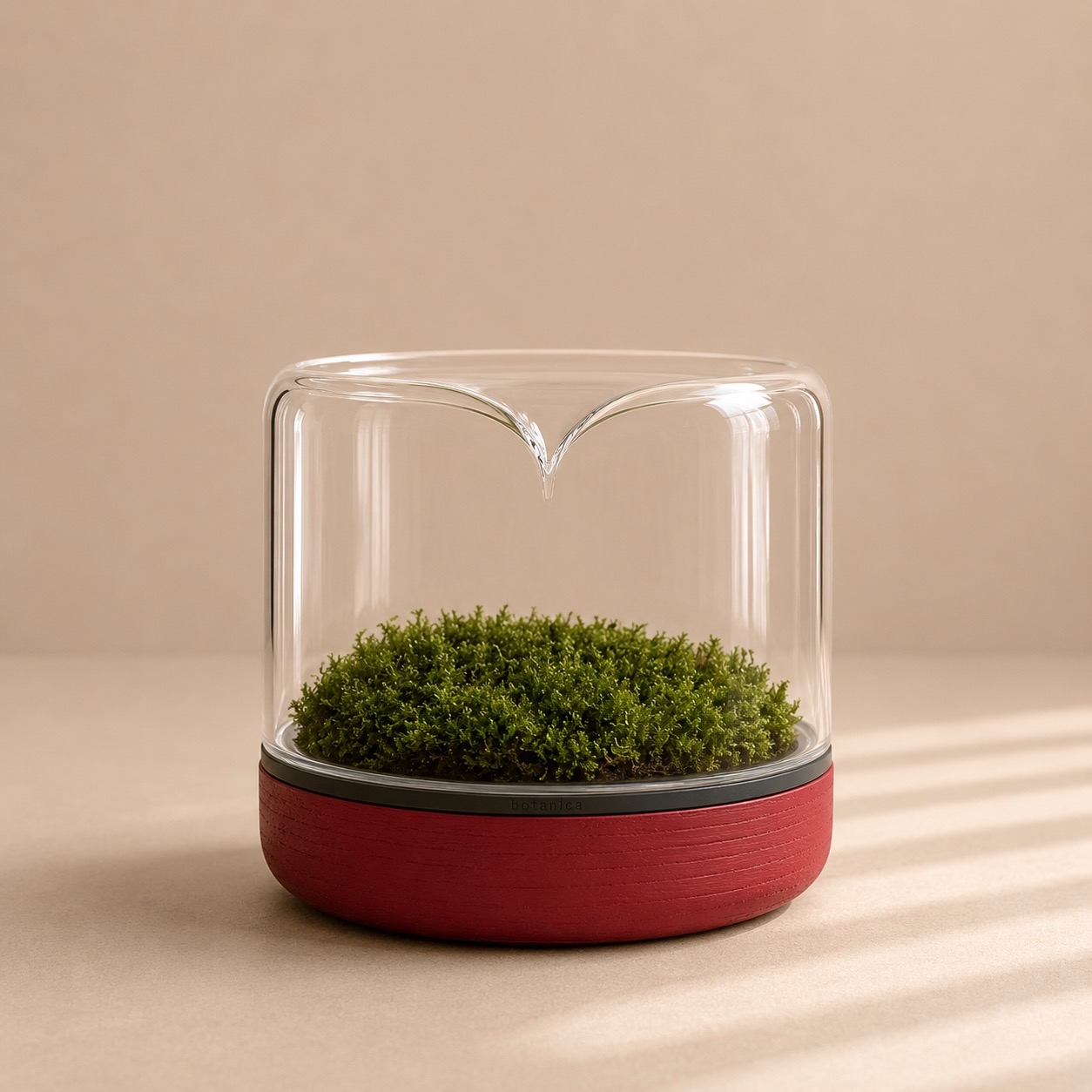 Mossarium Red Oak